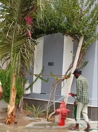 تنسيق وصيانة الحدائق جدة ومكة 9