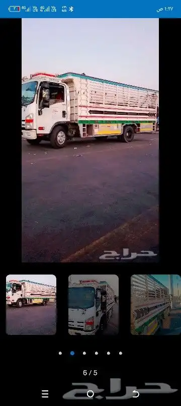 دينا 6 متر للنقل السريع لجميع انحاء المملكه 2