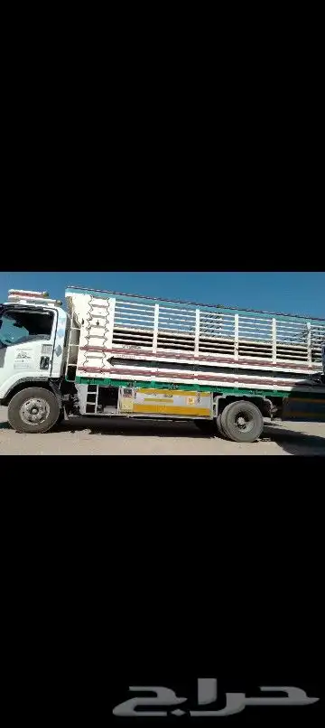 دينا 6 متر للنقل السريع لجميع انحاء المملكه 1