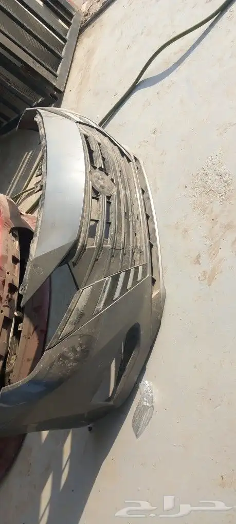 صني مكسيكي 2024 0