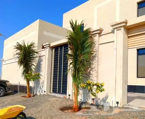 تنسيق وصيانة الحدائق جدة ومكة 1