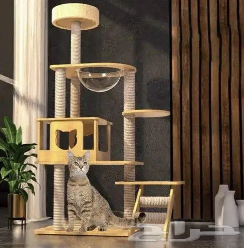 اكل جاف اكل رطب كتن قطط بيوت الشتاء أكواخ ألعاب 7