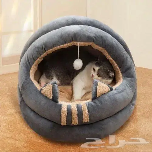 اكل جاف اكل رطب كتن قطط بيوت الشتاء أكواخ ألعاب 5