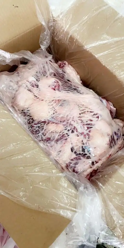 ذبايح مع خدمة الذبح والتوصيل 5