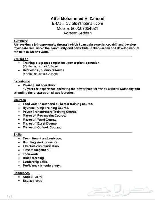 سيرة ذاتية CV ATS 3