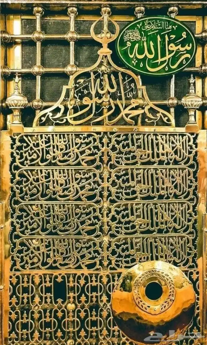 سجلوا أنتم الكبار وَ سجلوا صغاركم 7