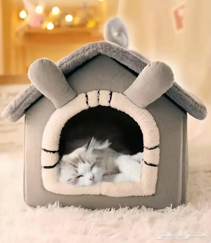 اكل جاف اكل رطب كتن قطط بيوت الشتاء أكواخ ألعاب 13