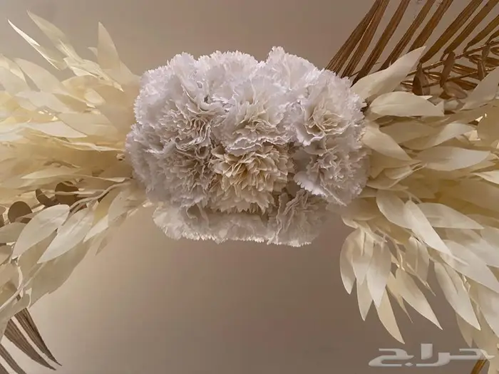 استاند حفلات 0