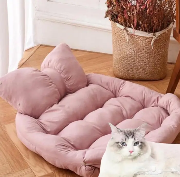 اكل جاف اكل رطب كتن قطط بيوت الشتاء أكواخ ألعاب 8