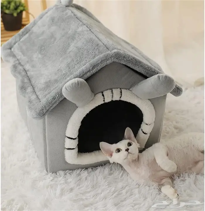 اكل جاف اكل رطب كتن قطط بيوت الشتاء أكواخ ألعاب 0