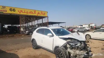 تشليح   عالم الصيني الحديث 2