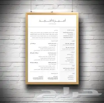 سيره ذاتيه بنظام ال ATS 7