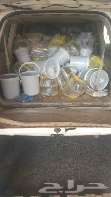 تمور حائل الفاخره 1