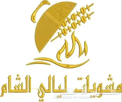 تصاميم تطريز 17