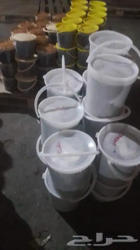 تمور حائل الفاخره 8