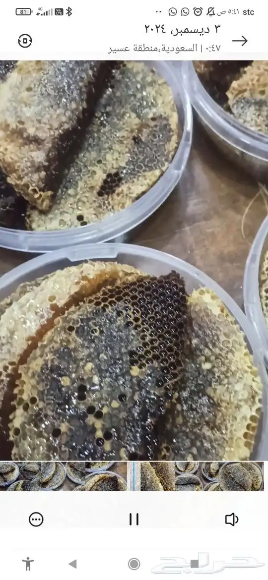 عسل سمره بالشمع 1