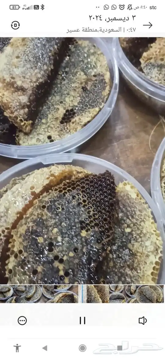 عسل سمره بالشمع 4