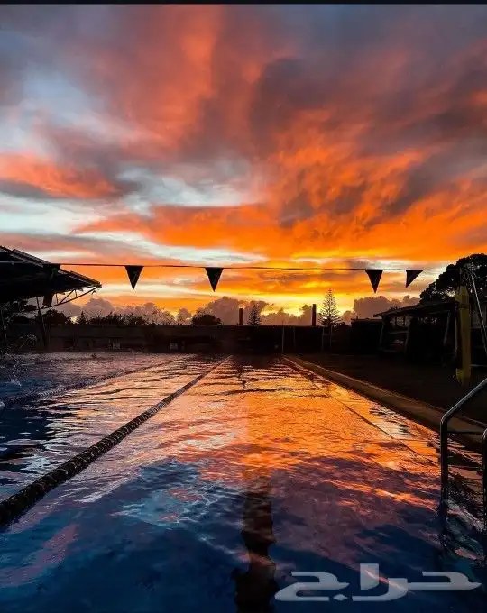 تدريب رياضي سبااحة برايفت مع أحدث تقنيات السباحة 3