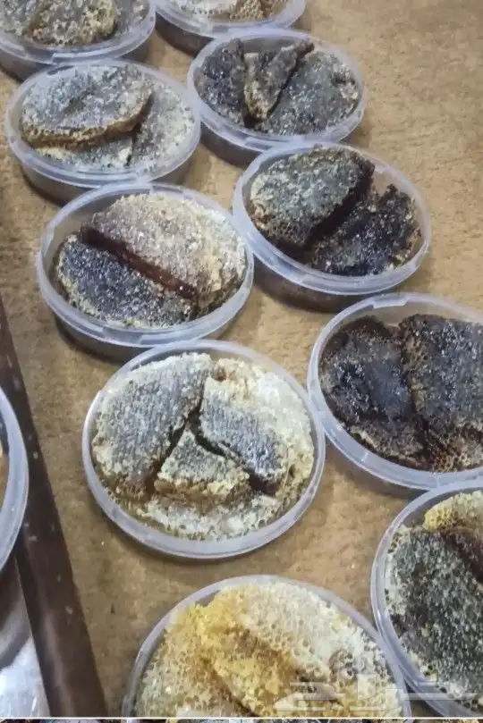 عسل سمره بالشمع 10