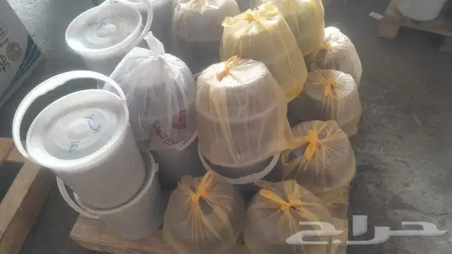 تمور حائل الفاخره 5