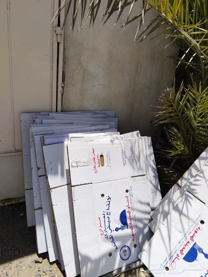 كراتين بيض للبيع حق العفش 0