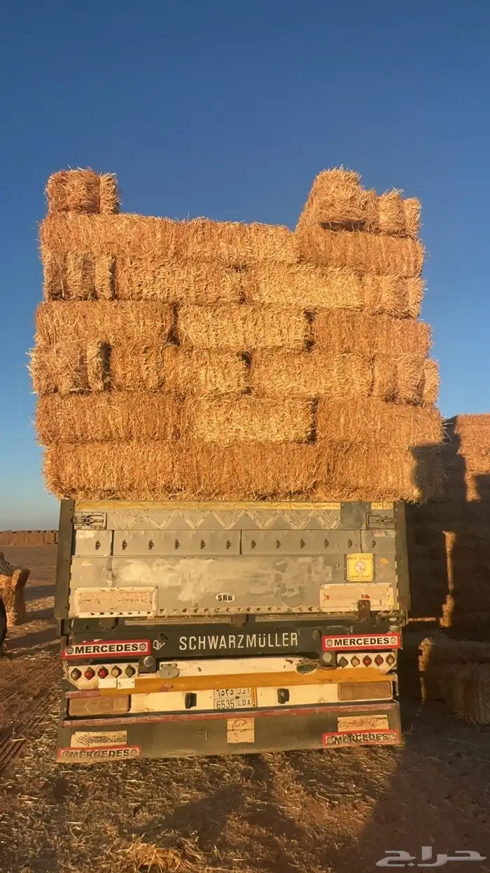 ضيفو سنابي عرض اعلاف بشكل يومي (والدفع عندالاستلام) 8