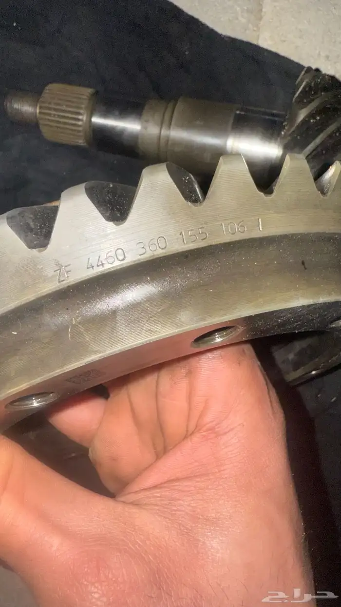 ريشو كارونة لومينا SS 2