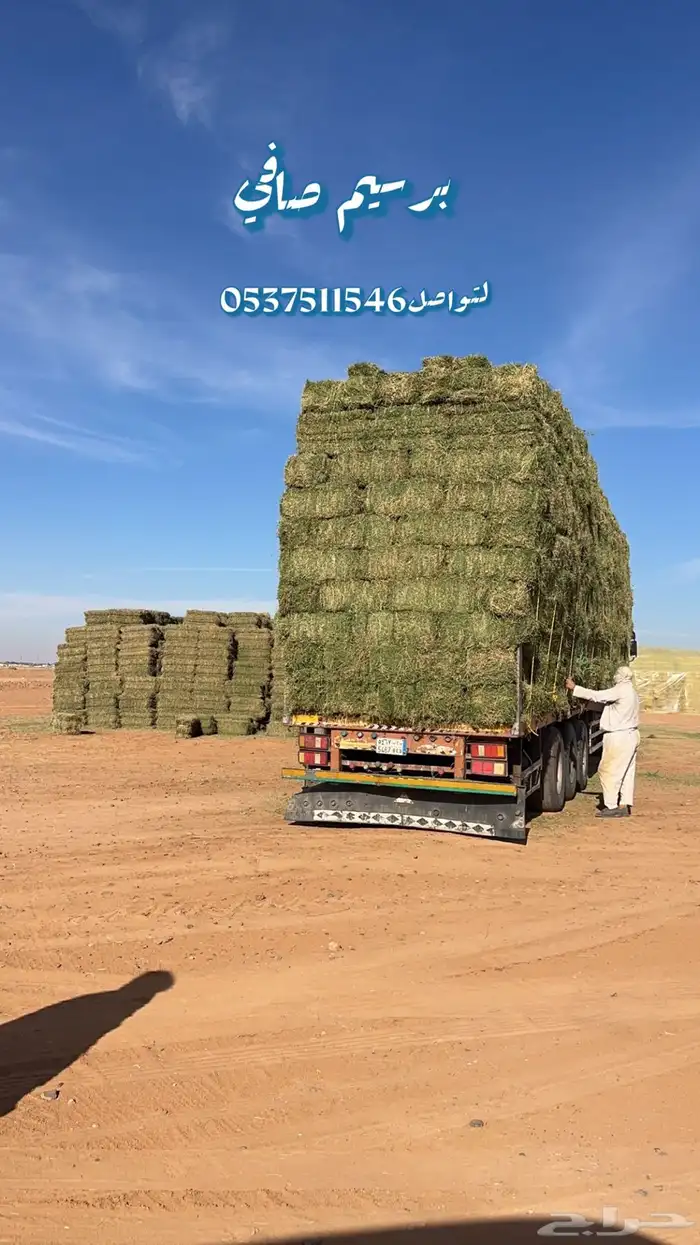 ضيفو سنابي عرض اعلاف بشكل يومي (والدفع عندالاستلام) 7