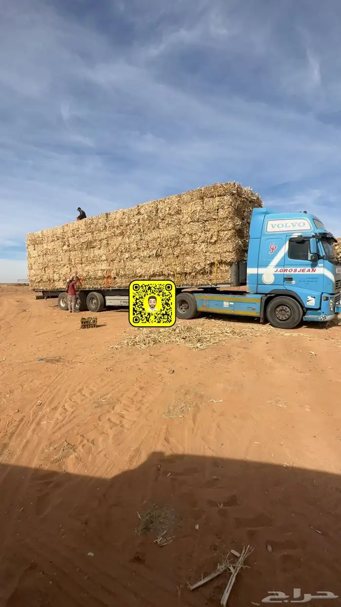 ضيفو سنابي عرض اعلاف بشكل يومي (والدفع عندالاستلام) 12