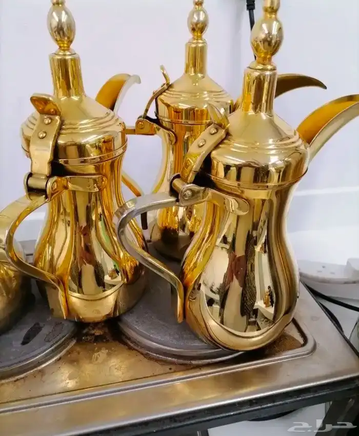 قهوجي 13