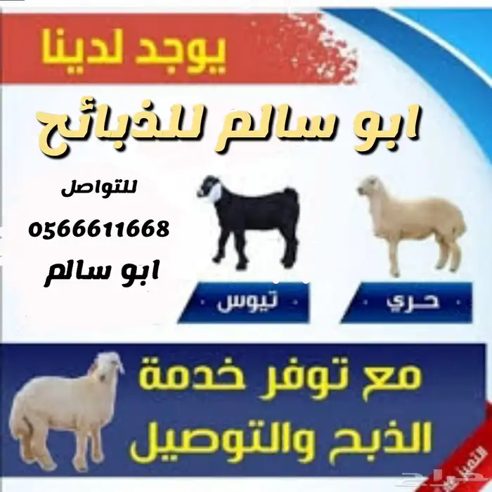 ذبايح حري وسط وكبير شامل الذبح والتوصيل 0