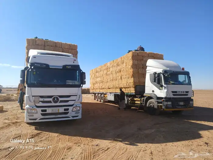 ضيفو سنابي عرض اعلاف بشكل يومي (والدفع عندالاستلام) 6