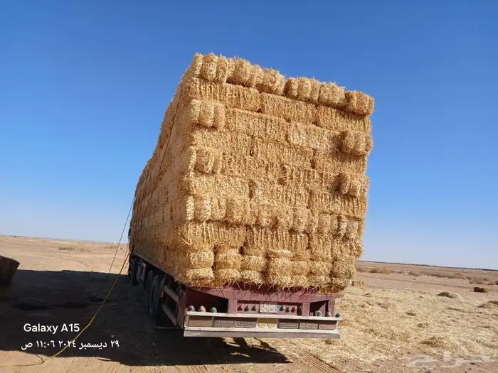 ضيفو سنابي عرض اعلاف بشكل يومي (والدفع عندالاستلام) 3