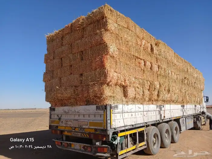 ضيفو سنابي عرض اعلاف بشكل يومي (والدفع عندالاستلام) 4