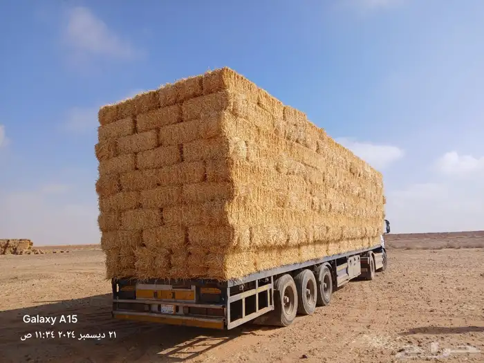 ضيفو سنابي عرض اعلاف بشكل يومي (والدفع عندالاستلام) 10