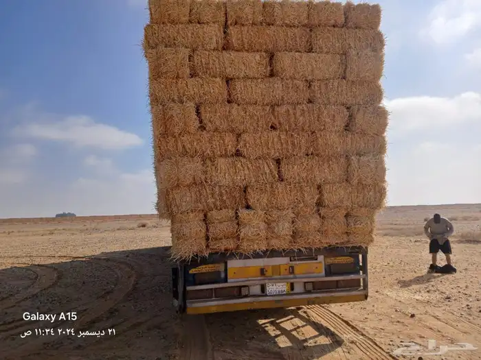 ضيفو سنابي عرض اعلاف بشكل يومي (والدفع عندالاستلام) 9