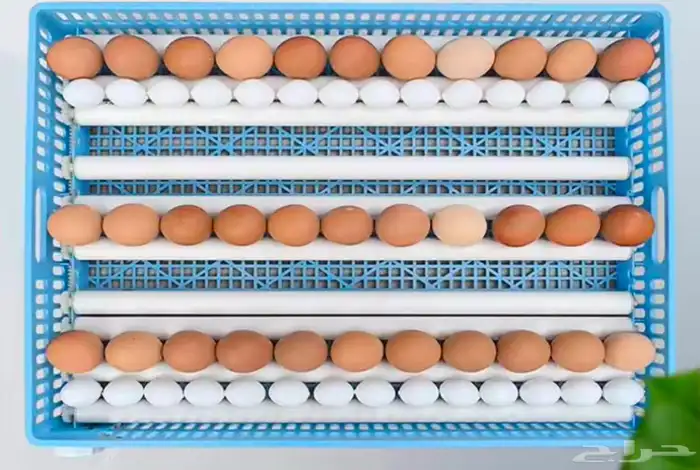 فقاسات رول نظام تبريد فل اتوماتيك مع شحن محاني 3