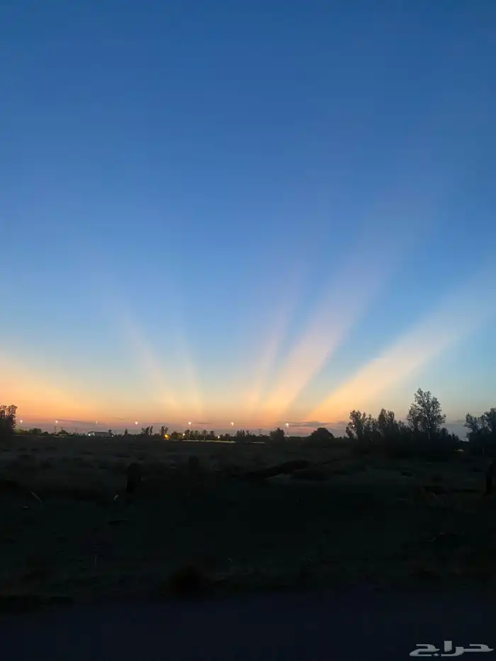 أثاث بدون أثاث استراحة 1