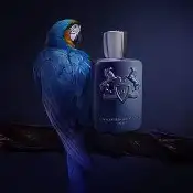 عطر مارلي ليتون الخرافي 6