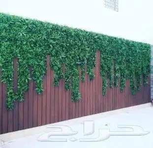 تنسيق حدائق فلل واسترحات وثيل طبيعي 9