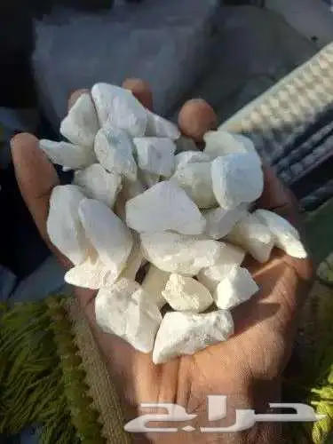 توريد جميع انواع البطحاء والاسمنت ونقل الدمار 4