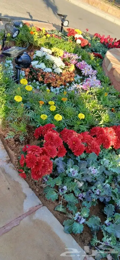تنسيق حدائق 8