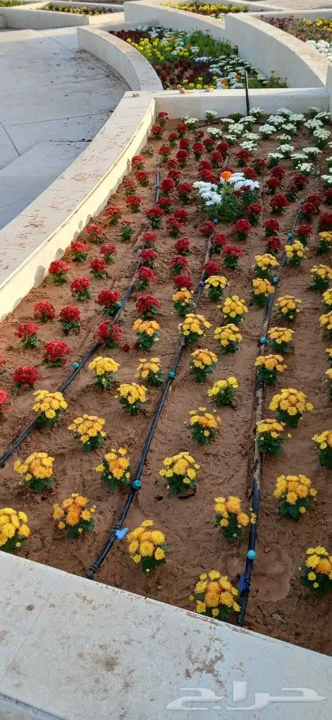 تنسيق حدائق 7