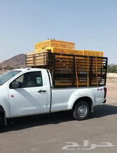توصيل دجاج وطيور 0