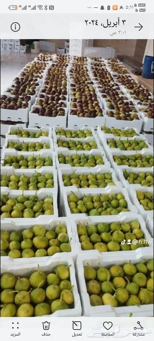 شتلات زراعيه 3