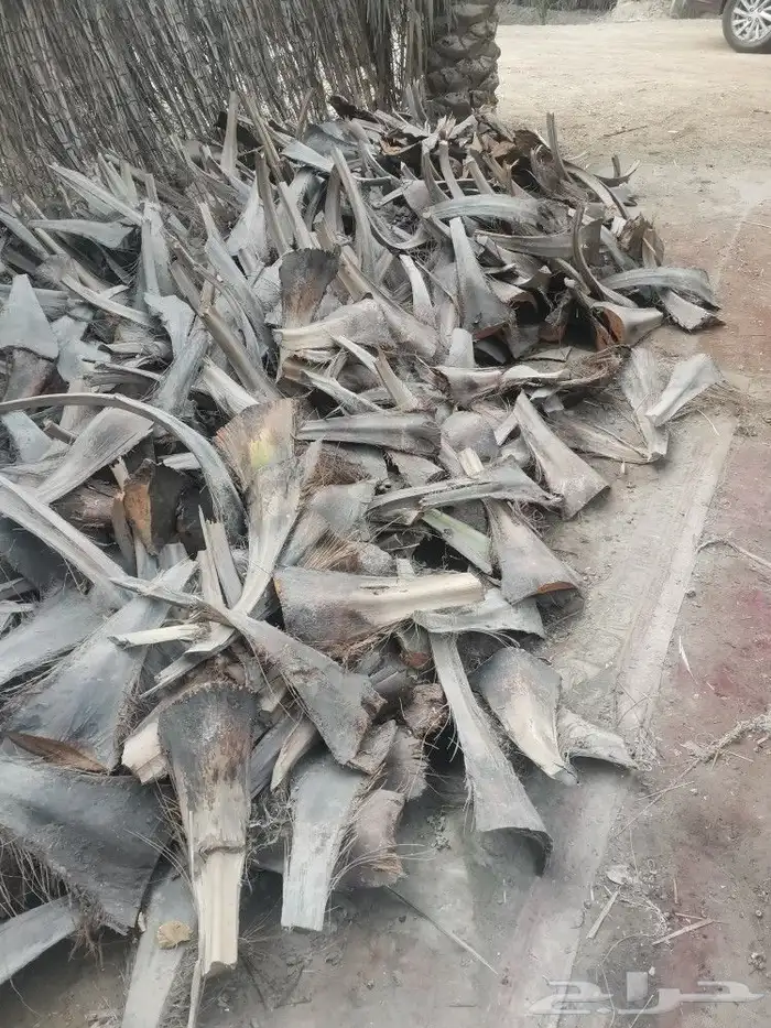 للبيع كرب نخيل 0