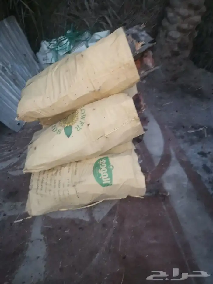 للبيع كرب نخيل 1