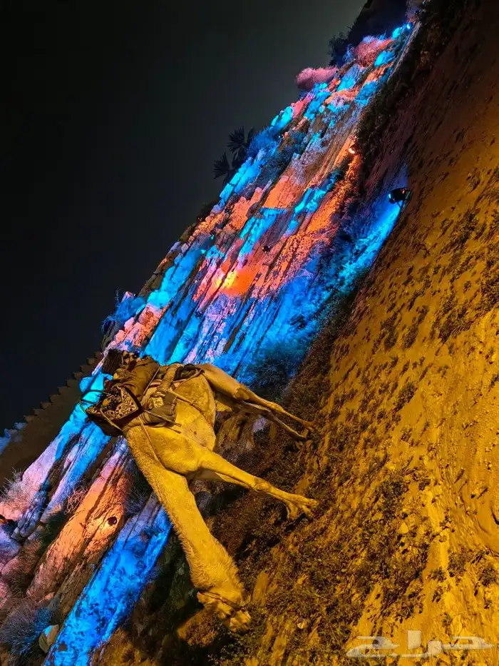 ايجار سيتي كلر كشافات سيتي كلر 6