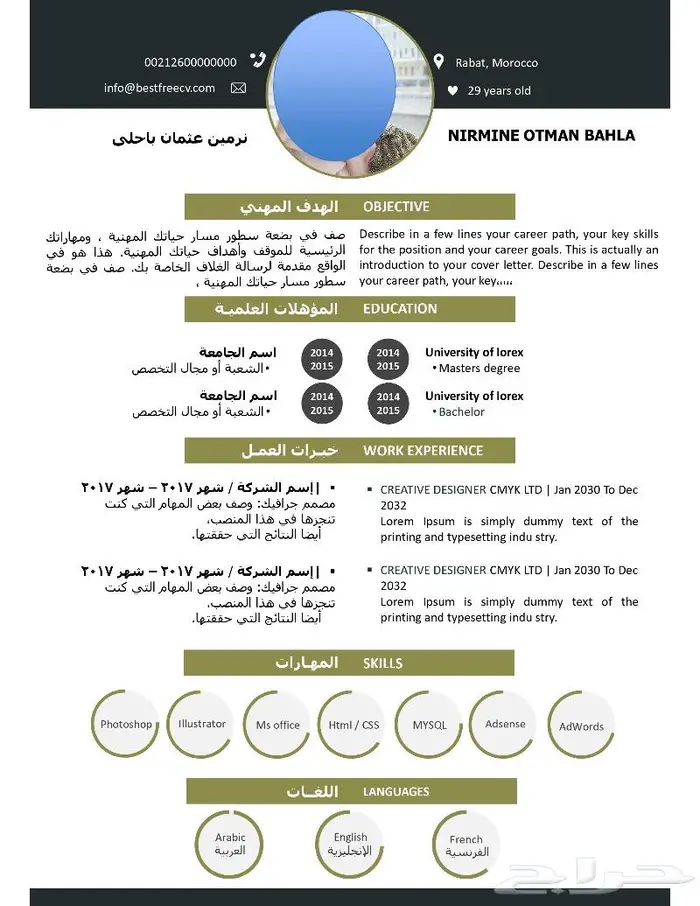 تصميم سيرة ذاتية باللغة العربية والانجليزية باحتراف 3