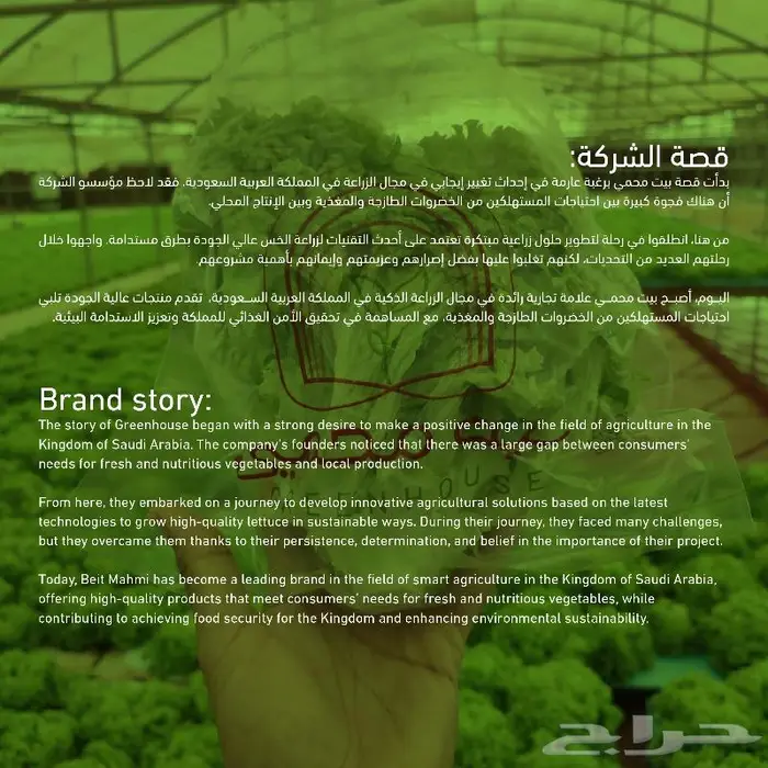 مصمم جرافيك لتصميم الشعارات والهويات البصرية والبروفايل 1